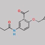 Acebutolol EP Impurity A CAS#: 28197-66-2