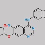 Afatinib Impurity A CAS#: 402855-07-6