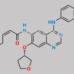 Afatinib Impurity D CAS#: 1680184-59-1