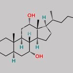 Allocholic Acid CAS#: 2464-18-8