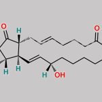 Alprostadil EP Impurity H CAS#: 36150-00-2