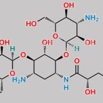 Amikacin CAS#: 37517-28-5