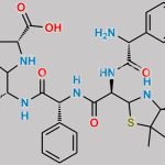 Ampicillin Oligomer 2 CAS#: 1207725-82-3