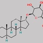 Androstane-3,17-diol Glucuronide CAS#: 95237-44-8