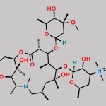 Azithromycin EP Impurity L CAS#: 90503-06-3