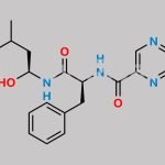 Bortezomib Impurity G CAS#: 289472-81-7