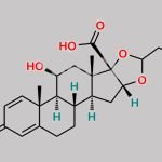 Budesonide 17-Carboxylic Acid Impurity CAS#: 192057-49-1