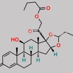 Budesonide 21-Butyrate Impurity CAS#: 2408495-96-3