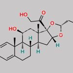 Budesonide (22R)-Isomer CAS#: 51372-29-3