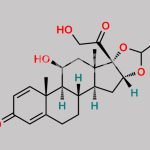 Budesonide EP Impurity B CAS#: 1040085-98-0