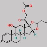 Budesonide EP Impurity K CAS#: 51333-05-2