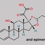 Budesonide Pyruvic Acid Analog (USP) CAS#: N/A