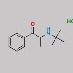 Bupropion Related Compound D Hydrochloride CAS#: 63199-74-6
