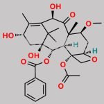 Cabazitaxel Impurity 27 CAS#: 1444818-14-7