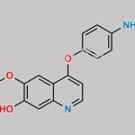 Cabozantinib Impurity 13 CAS#: 1355031-15-0