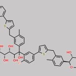 Canagliflozin Dimer Impurity CAS#: N/A