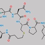 Carbetocin Impurity 1 CAS#: 1352167-71-5