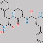Carfilzomib (2R,4S)-Diol CAS#: 1541172-75-1