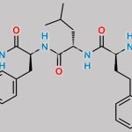 Carfilzomib Impurity 6 (SSSSS) CAS#: 1672698-88-2