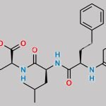 Carfilzomib Impurity 63 CAS#: 2049024-77-1