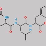 Carfilzomib Impurity 65 CAS#: 2049024-27-1