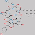 Caspofungin Impurity 4 CAS#: N/A