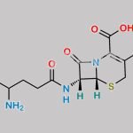 Cefazolin Impurity 4 CAS#: N/A
