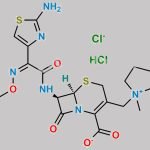 Cefepime Chloride Hydrochloride CAS#: 107648-80-6