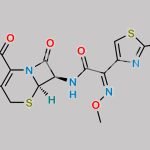 Cefetamet CAS#: 65052-63-3
