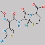 Ceftizoxime Impurity 5 CAS#: 929101-89-3