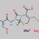 Ceftriaxone Disodium Hydrate CAS#: N/A