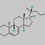 Cholecalciferol EP Impurity C CAS#: 5226-01-7