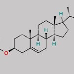 Cholesterol Benzoate CAS#: 604-32-0