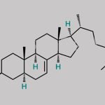 Cholesterol EP Impurity A CAS#: 80-99-9