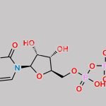 Citicoline Sodium CAS#: 33818-15-4