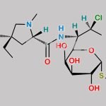 Clindamycin  EP Impurity B CAS#: 18323-43-8