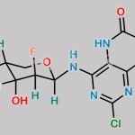 Clofarabine Related Compound 2 CAS#: 1140251-33-7