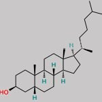 Coprostanol CAS#: 360-68-9