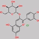 Cyanidin 3-O-glucoside Chloride CAS#: 7084-24-4