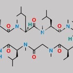 Cyclosporin A CAS#: 59865-13-3