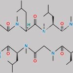 Cyclosporin EP Impurity C CAS#: 59865-16-6