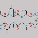 Cyclosporin B CAS#: 63775-95-1