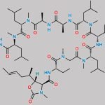 Cyclosporin Impurity 2 CAS#: 1907654-63-0