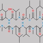 Cyclosporine L CAS#: 108027-39-0