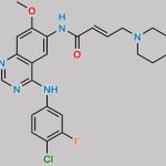 Dacomitinib Impurity 3 CAS#: 2803478-54-6