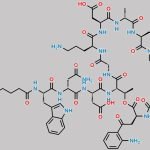 Daptomycin CAS#: 103060-53-3