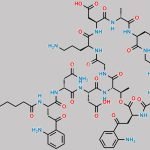 Daptomycin Impurity 12 CAS#: 351499-29-1