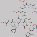 Daptomycin Impurity 17 CAS#: 866822-35-7