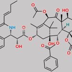 Desmethyl Ethyldihydrocephalomannine CAS#: 514801-83-3