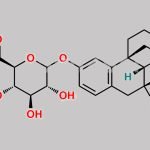 Dextrorphan O-glucuronide CAS#: N/A